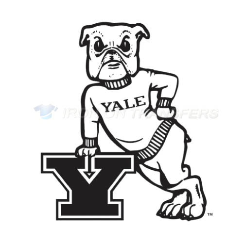 Yale Bulldogs Logo T-shirts Iron On Transfers N7090 - Click Image to Close